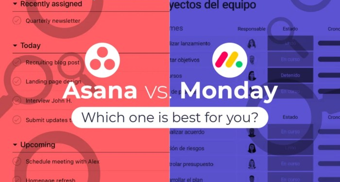 Asana vs Monday: Which Project Management Tool is Best for You? - Rambox
